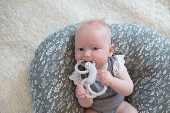 Dr Brown's Flexees Sloth Teether - Grey