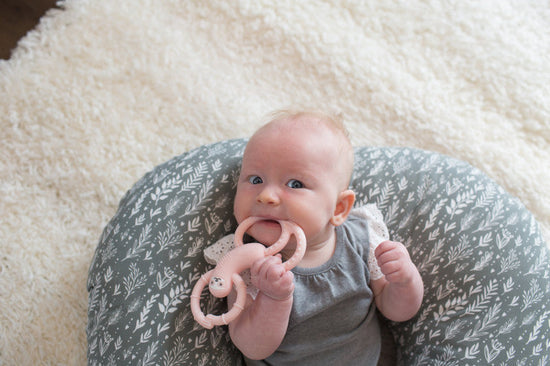 Dr Brown's Flexees Sloth Teether - Pink