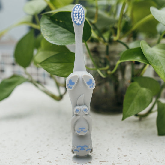 Dr Brown's Otter Toddler Toothbrush