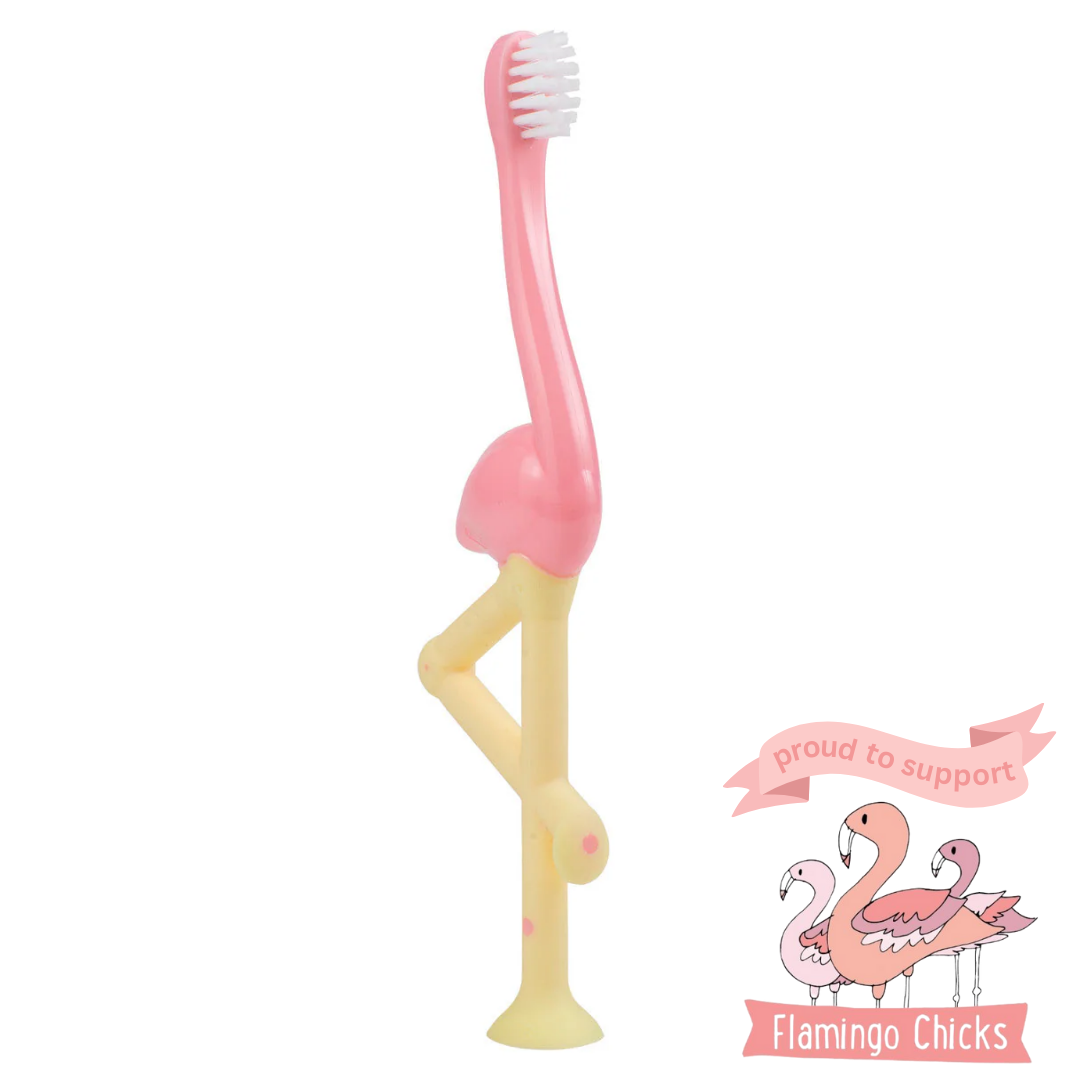 Dr Brown's Flamingo Toddler Toothbrush