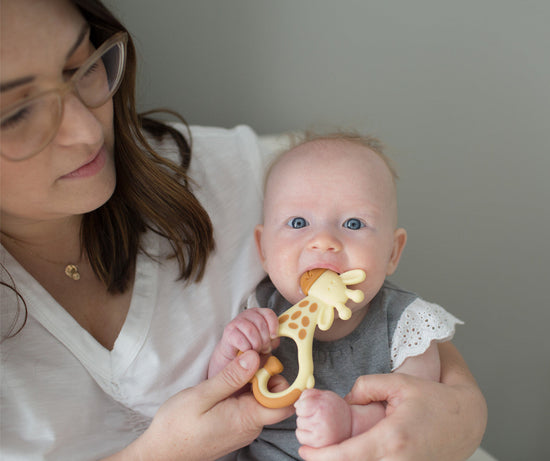 Dr Brown's Ridgees Giraffe Teether