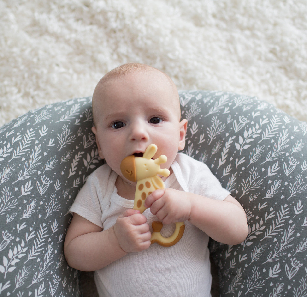 Dr Brown's Ridgees Giraffe Teether