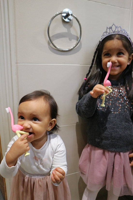 Dr Brown's Flamingo Toddler Toothbrush